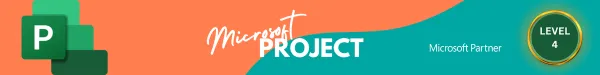 Microsoft Project Level 4 Training