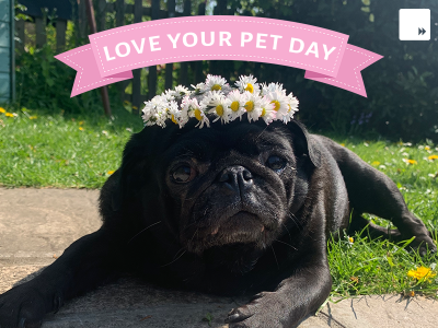 Love your Pet Day